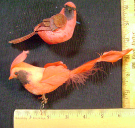 FMMI-55. Cardinals.