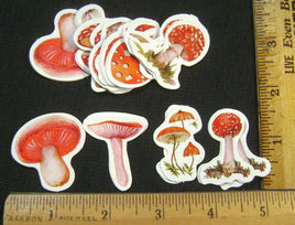 FMS-50. Mushroom Stickers.
