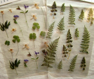 botanical stickers