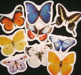 5239. Butterflies and Moths Stickers.