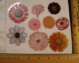 FMS-66. Flower Stickers.