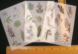 FMS-87. Washi Floral Stickers.