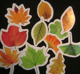 5360. Leaf Stickers.