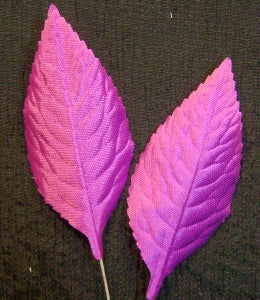 fuchsia leaves