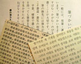 3146. Assorted Asian Book Pages Packet.