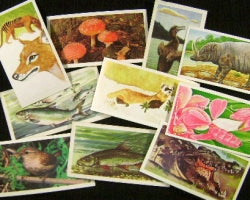 vintage nature trade cards