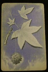 leaf cards