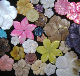 4095. Assorted Shell Flower Charms.