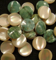 cream and green shell cabochons