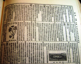 japanese dictionary book pages