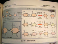 5186. Japanese Science Book Pages.