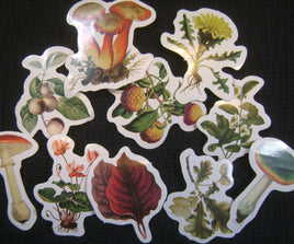 5207. Mushroom/Nature Stickers.