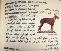 5235. English-Arabic Dictionary Pages.