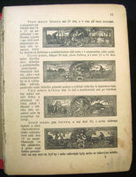 5240. Czech Language Book Pages.