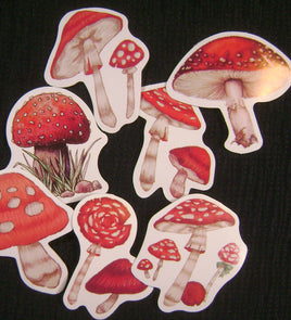 5272. Mushroom Stickers.
